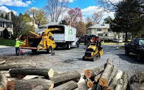 Best Lawn Grading and Leveling  in Guernsey, WY