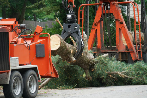 Best Firewood Processing and Delivery  in Guernsey, WY